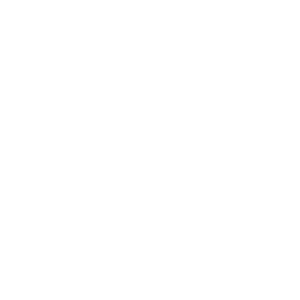 Australian-Small-Business-Champion.png