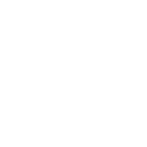 Brisbane-Young-Entrepreneur-Award-Winner.png