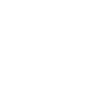 Stevie-BRonze-Winner.png